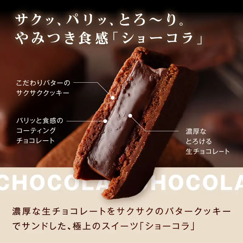 VANILLABEANS ショーコラ パリトロ 12個 生チョコサンド 横浜 AGK0008