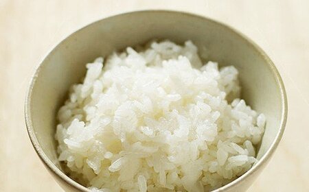 令和6年産米 美濃加茂の お米 定期便（毎月） 4回セット ( 10kg×4回 ) | ハツシモ 春見ライス 米 コメ M80S18