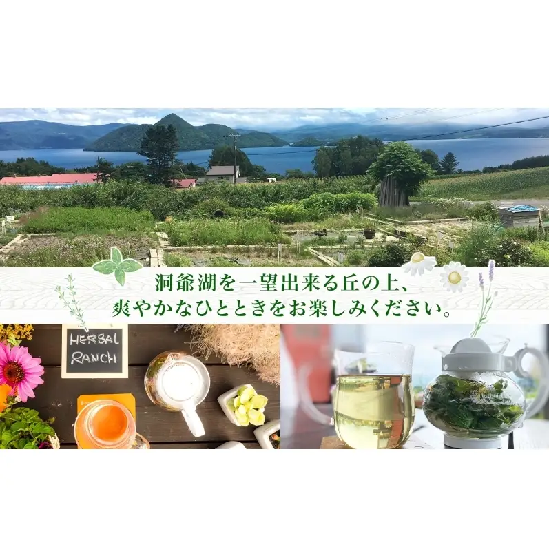 ハーブティー作り体験 摘みたて ハーバルランチ ハーブティー作り体験