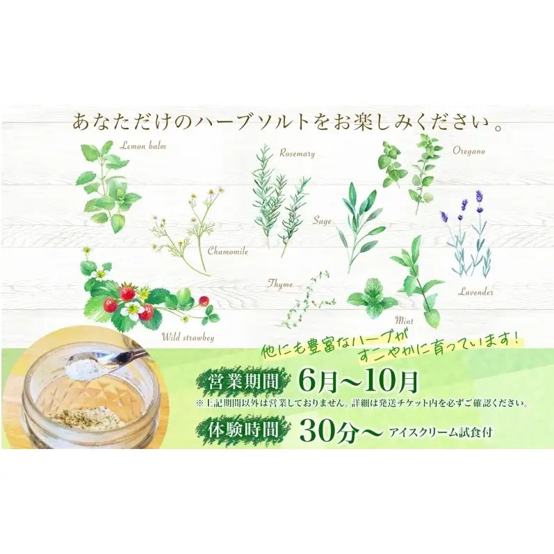 ハーブソルト作り体験 摘みたて ハーバルランチ ハーブソルト作り体験
