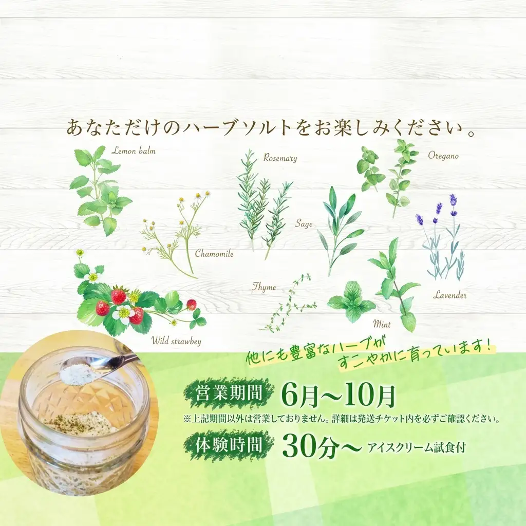 ハーブソルト作り体験 摘みたて ハーバルランチ ハーブソルト作り体験【2枚】