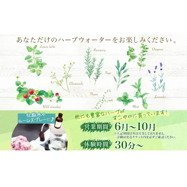 アロマウォーター蒸留体験 化粧水 ハーバルランチ アロマウォーター蒸留体験