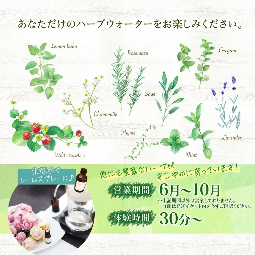 アロマウォーター蒸留体験 ハーバルランチ アロマウォーター蒸留体験【2枚】