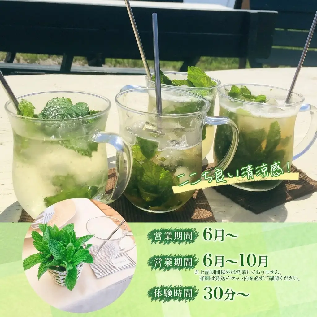 モヒートソーダ作り体験 ノンアル ハーバルランチ モヒートソーダ作り体験【2枚】