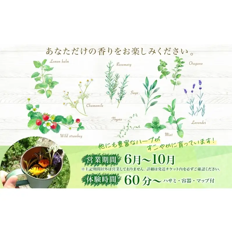 アロマウォーター蒸留体験 ハーブ ハーバルランチ アロマウォーター蒸留体験