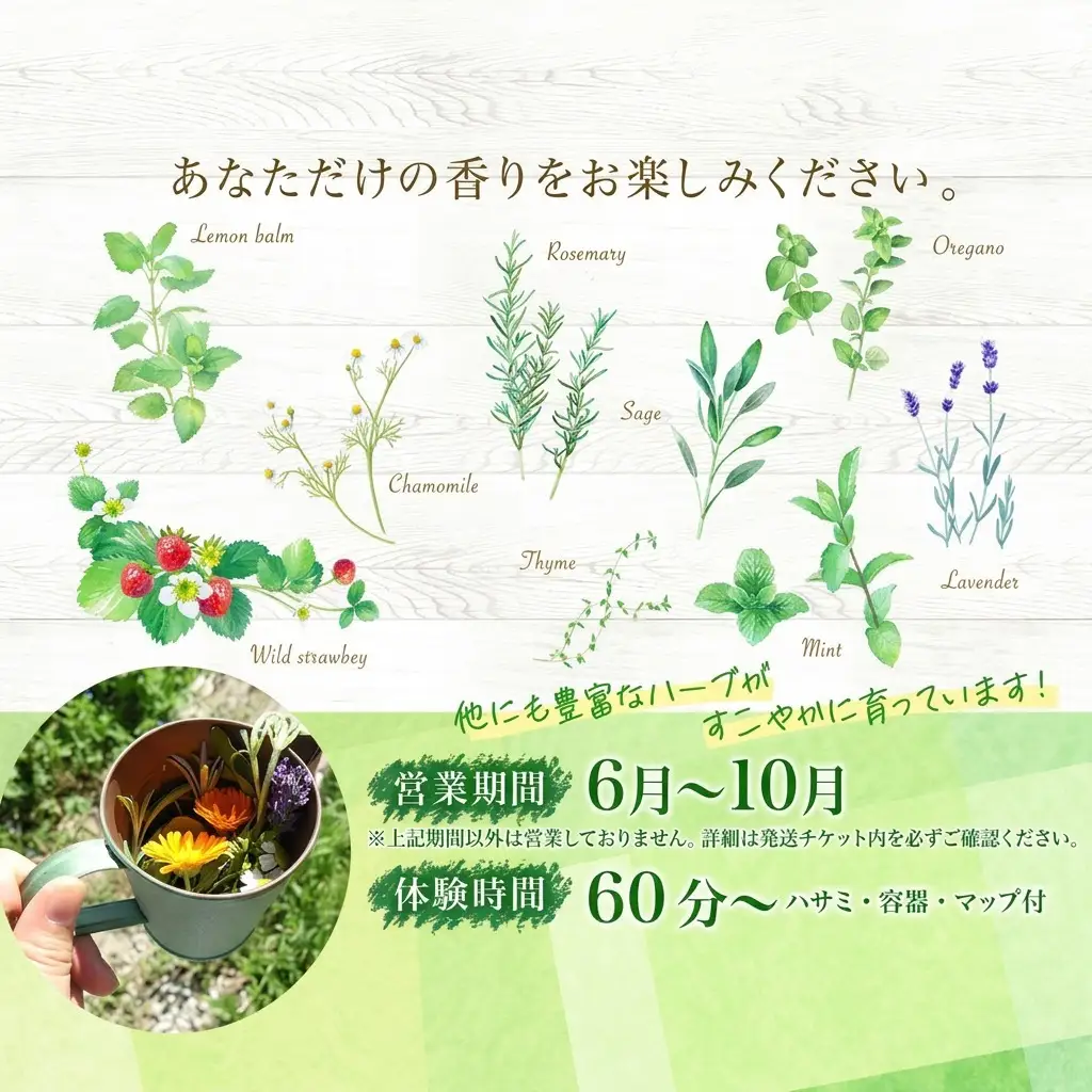 アロマウォーター蒸留体験 ハーブ ハーバルランチ アロマウォーター蒸留体験【体験2枚】