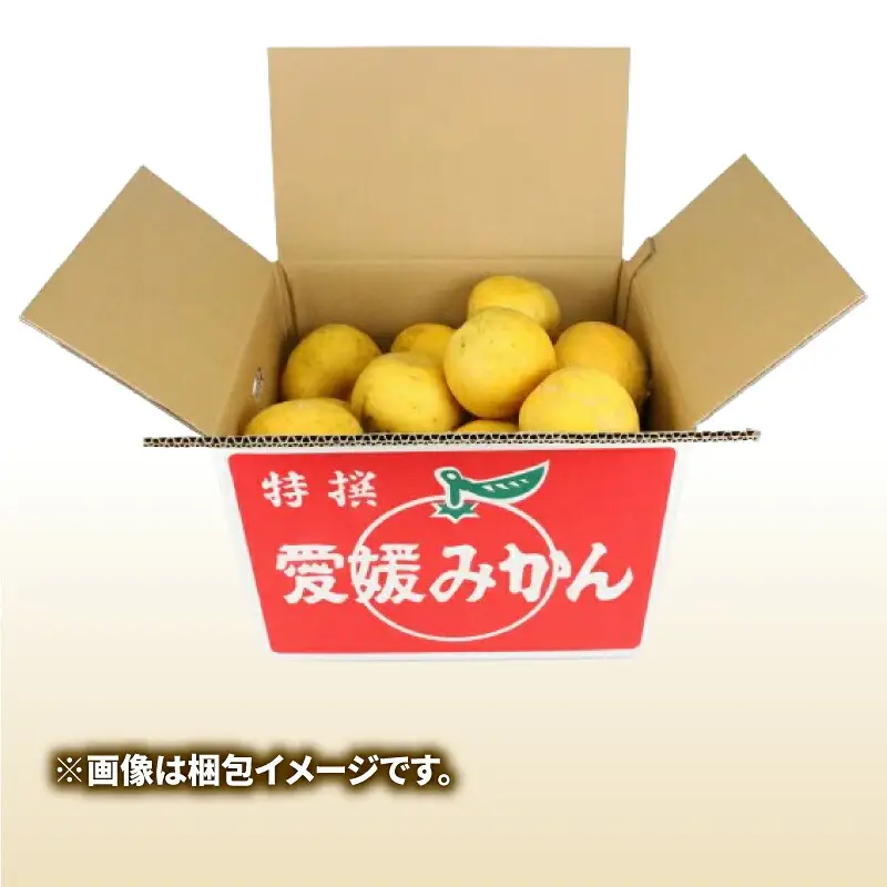 訳あり 河内晩柑 10㎏ 晩柑 陽だまりミカン B010-050007