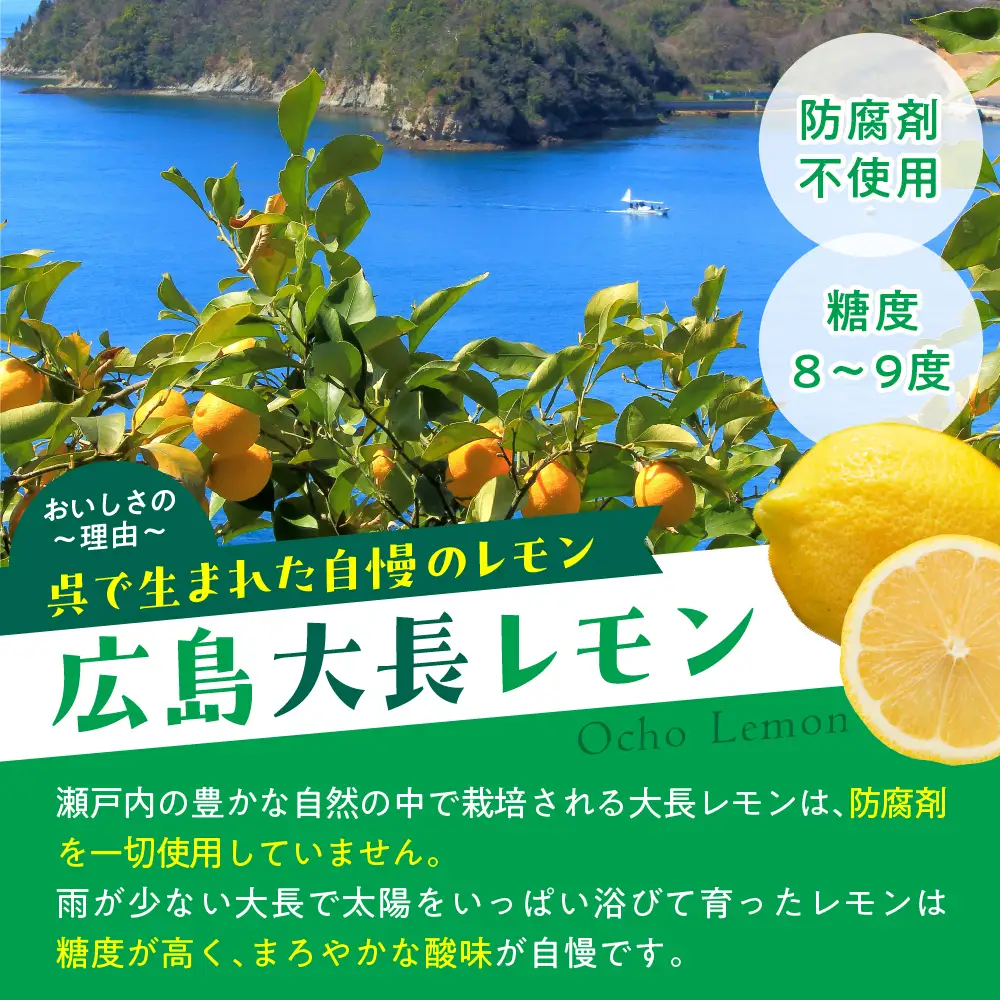 千福 ウキウキレモン酒500ml × 12本 果実酒 柑橘 日本酒