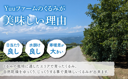 2026年産 長野県東御市産 信濃くるみ 500g（品種 清香）※2026年11月以降発送