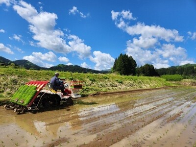 【令和7年産米】【数量限定】新潟県村上市岩船産 こしひかり 辰次郎のお米 精米 2kg×3袋 計6kg　1072002