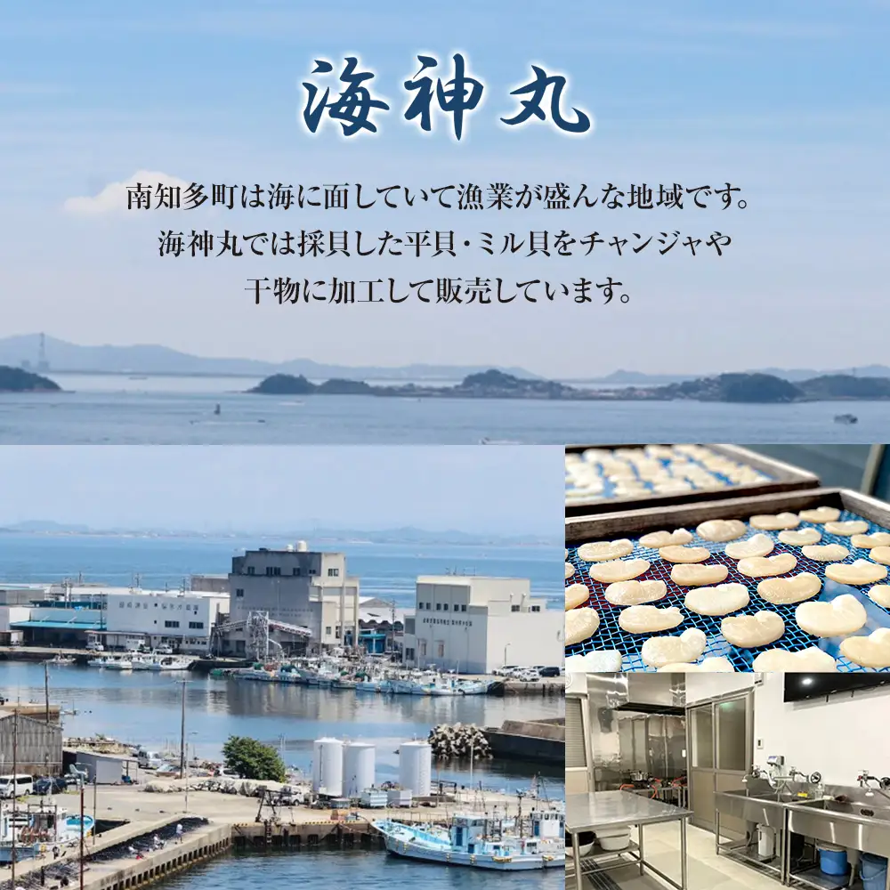 地だこボイル ５パック (100g×5) 冷凍 たこ タコ 蛸 海鮮 海産物 アヒージョ おつまみ 自家製チョジャン付き 愛知県 南知多町
