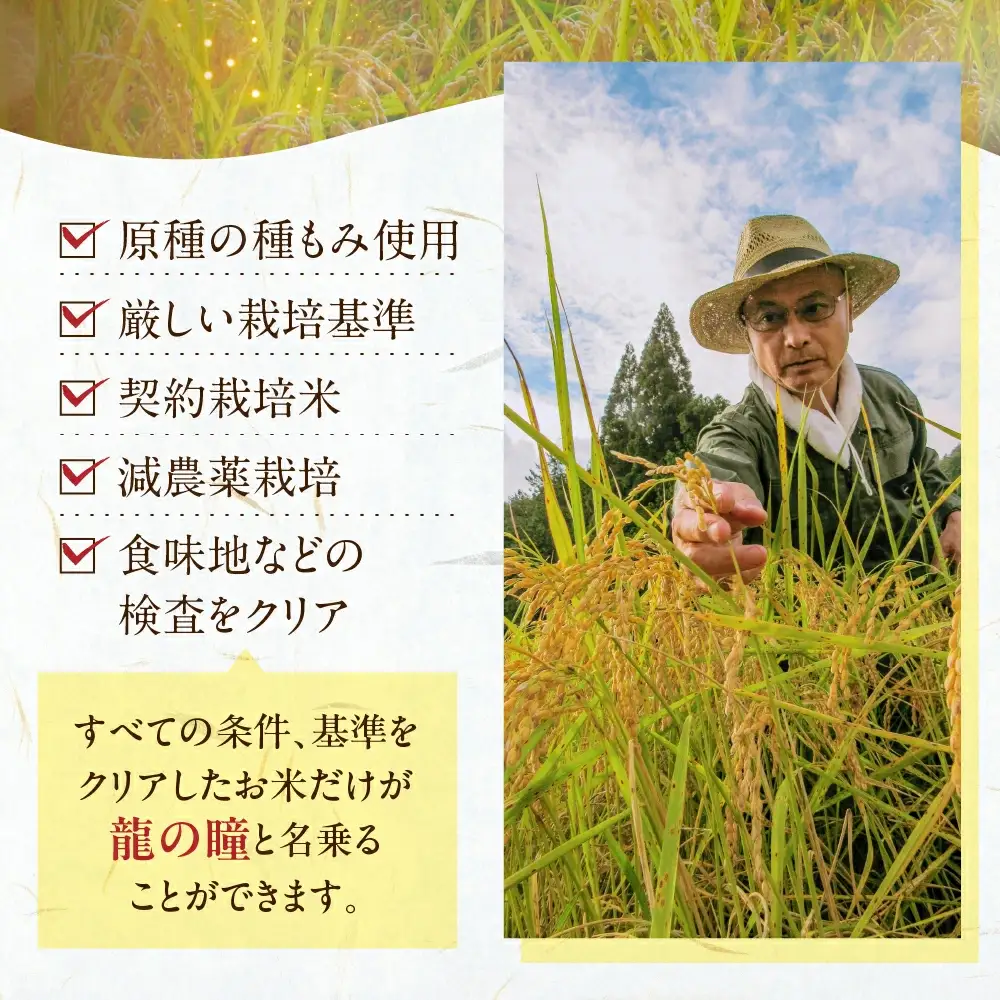 先行予約受付【2026年産米】（2027年4月発送）3kg×1袋 飛騨産・龍の瞳(いのちの壱) 株式会社龍の瞳直送【14-2【4】】