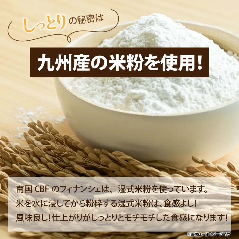 【2週間以内発送】≪グルテンフリー≫米粉のフィナンシェ(計10個) スイーツ お菓子 国産_T038-0075