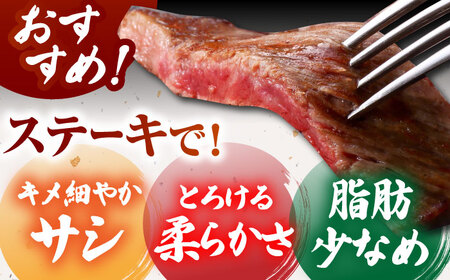 佐賀牛 赤身ステーキ600g HCS088 赤身 和牛 A5