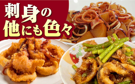 対馬産 ヤリイカ 刺身用 6杯 冷凍配送 小分け いか 新鮮 海鮮 冷凍配送 [WCS003]