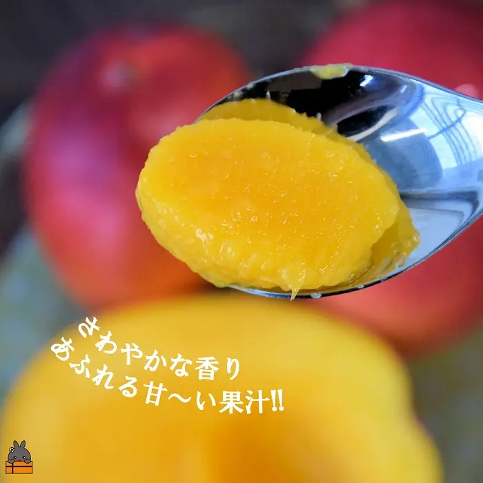 ≪今が旬！≫訳あり！【家庭用】徳之島産完熟マンゴー2kg（4～8玉）フルーツ わけあり 訳あり 果物