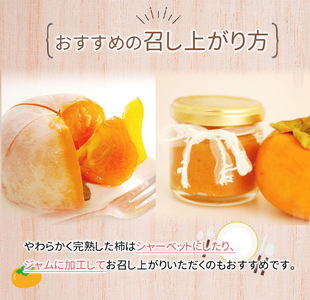 和歌山秋の味覚 富有柿 約4kg 化粧箱入_G7111
