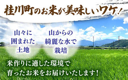 【先行受付】【11月以降順次発送】令和6年度産 福岡県桂川町産夢つくし 玄米10kg 桂川町/一般社団法人地域商社いいバイ桂川 [ADBB005] 夢つくし 福岡 玄米 米 コメ 米 おにぎり 