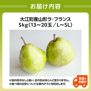 《先行受付》大江町産 山形ラフランス 5kg 13～20玉 L～5L【2026年11月中旬頃～発送予定】 048-005