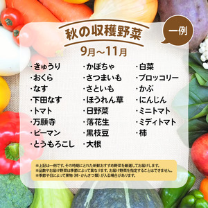 竜王町産 野菜 詰め合わせ セット 野菜セット 野菜 詰め合わせ 野菜 季節 野菜ソムリエ 厳選 採れたて やさい 10～14品