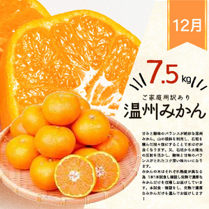 【定期便 全3回】紀州和歌山産旬のご家庭用果物セット（ひらたね・富有柿・みかん）_G60-T80