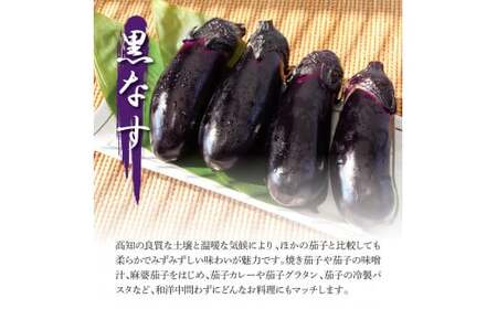 食べ比べ！白と黒のナスセット 黒ナス8本 白ナス4本 