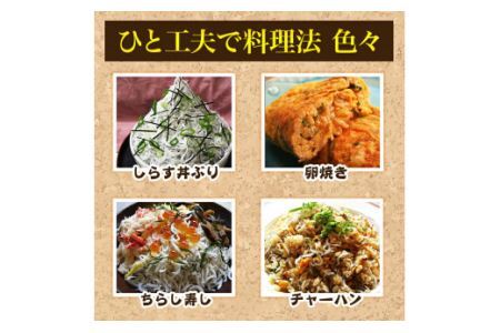 453.ザ☆プレミアムしらす1kg(B453-1)
