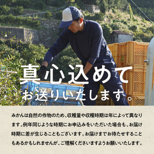 有田みかん「未来への虹」（10kg）(B2-2)