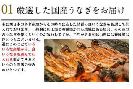 国産うなぎ蒲焼き大サイズ２本セット(B247-2)