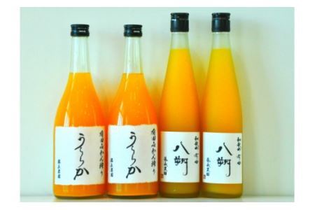 有田みかん搾り「うららか」＆八朔ジュースセット（計4本）(B294-1)