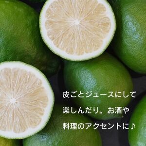 訳あり レモン (グリーンレモン) 3kg りのか ワックス不使用 レモン レモン 減農薬 柑橘 檸檬 くだもの 果実 国産 愛媛 みかん職人武田屋 グリーンレモン ブランド 愛媛県産 愛南 産直 レモン