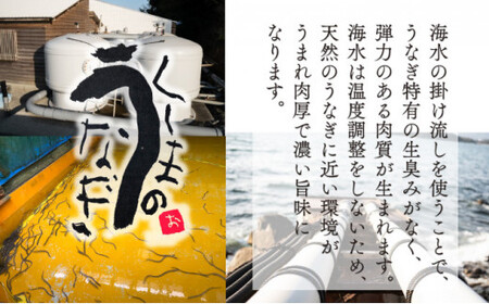 【数量限定】特大くしまの黒潮うなぎ蒲焼3尾（合計750g前後）_K023-008