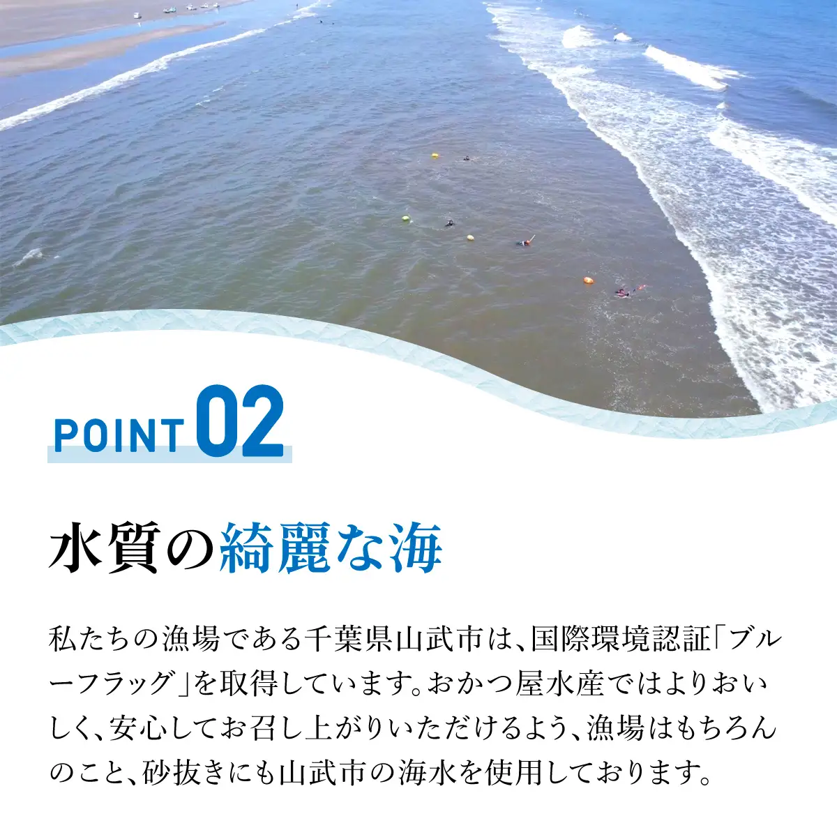 【千葉県ブランド認定】天然大粒活はまぐり（中玉）《3㎏》ギフトBOX付き／ふるさと納税 はまぐり ハマグリ 蛤 貝類 魚介 海鮮 お吸い物 パスタ パエリア お歳暮 贈答 お祝い 千葉県 山武市 SMBO005