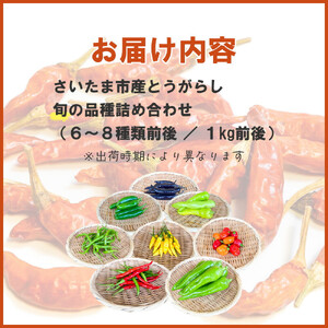 【十色とうがらしファーム】とうがらし＜旬の品種詰合せ＞【11100-0805】