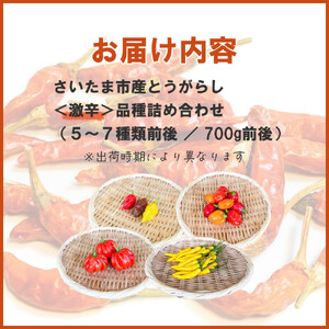 【十色とうがらしファーム】とうがらし＜激辛＞品種詰合せ【11100-0806】