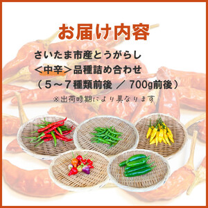 【十色とうがらしファーム】とうがらし＜中辛＞品種詰合せ【11100-0807】