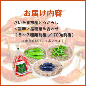 【十色とうがらしファーム】とうがらし＜旨辛＞品種詰合せ【11100-0808】