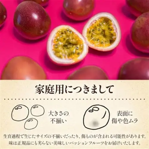 【先行受付】【訳あり】トロピカルパッションフルーツ約3Kg B3-111_果物・フルーツ   くだもの_【配送不可地域：離島】【1166522】