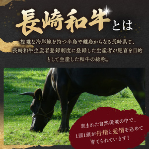 【A4～A5】長崎和牛ヒレステーキ 450g(150g×3枚)( 長崎和牛 ヒレステーキ ひれ 希少部位 450g 焼肉 国産 牛 ステーキ肉 赤身 肉 美味しい お取り寄せ プレゼント ギフト おすすめ )【D0-047】