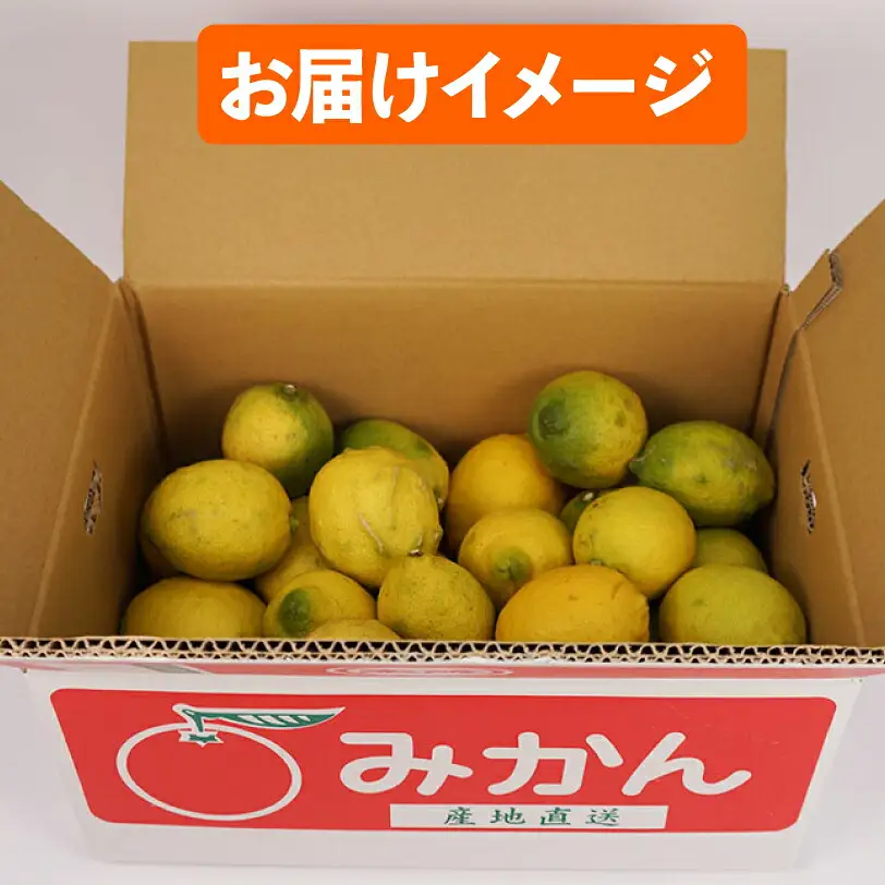 レモン 訳あり 5.5㎏ 陽だまりミカン レモン B010-050008