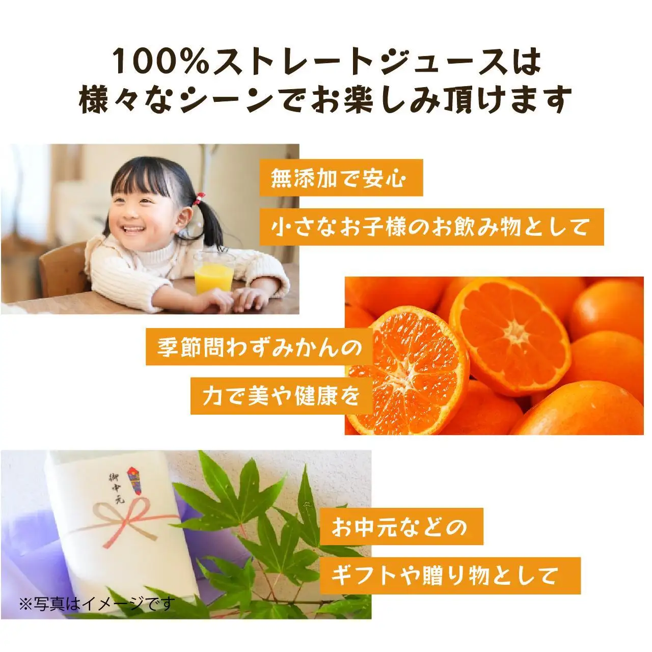 柑橘ジュース詰め合わせ|和歌山県海南市下津町産の果汁100%ストレートジュース 
