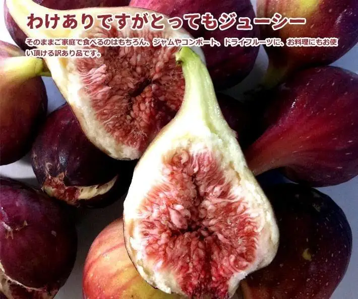 和歌山産 訳ありいちじく 約1.6kg(400g ×4パック)
