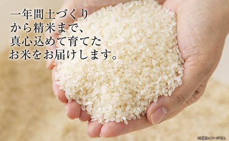 【令和8年産 新米】 新潟県 魚沼産 コシヒカリ お米 15kg （5kg×3袋） 精米済み（お米の美味しい炊き方ガイド付き）白米  こしひかり 食品 人気 おすすめ 送料無料 十日町 十日町市 精米 産直
