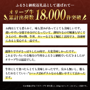 香川県産黒毛和牛オリーブ牛　1kg「切り落とし 250g×4p」 お肉 牛肉 