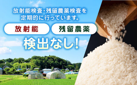 〈令和7年度産米〉 【全12回定期便】 くまさんの輝き 無洗米 20kg【株式会社 農産ベストパートナー】 令和7年産 [ZBP136]