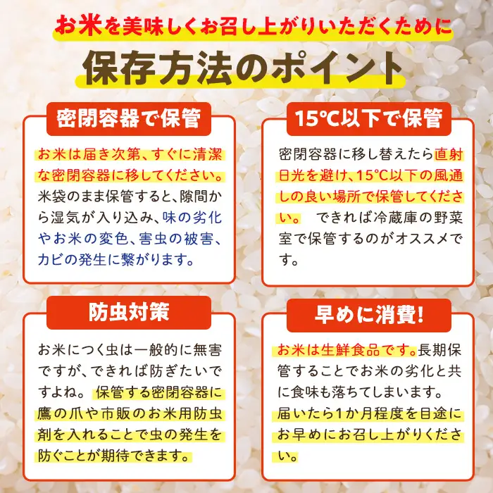 ＜令和7年産＞＜数量限定＞宮崎県日之影町産 ヒノヒカリ(計10kg・5kg×2袋) 米 精米 国産 ごはん 白米 【AF003】【株式会社ひのかげアグリファーム】