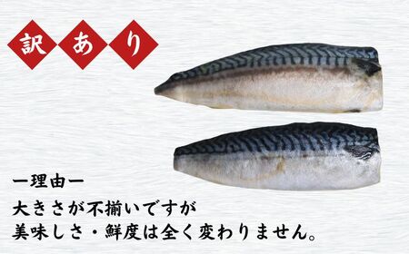 訳あり 塩鯖フィレ 3.5kg サバ サバ サバ 鯖 鯖 荒野商店