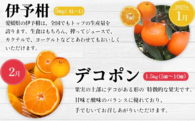 【先行予約】＜2026年11月発送開始 えひめかんきつ定期便 全6回＞ 果物 フルーツ みかん ミカン 蜜柑 日の丸みかん 紅まどんな 伊予柑 いよかん デコポン せとか 河内晩柑 かわちばんかん 愛媛県観光物産協会 愛媛県 西予市【常温】『2026年11月に第1回目を順次出荷予定』OEK0001