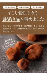 訳あり ショコリッシュ 550g チョコレート 約22～24個入り  ｜スイーツ スイーツ チョコレート