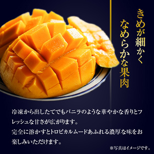 完熟 とれたて 凍らせ マンゴー 1kg （ ゴールデンナゲット ） C063-002 果物 フルーツ 冷凍